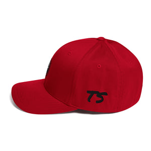 TS Structured Twill Cap